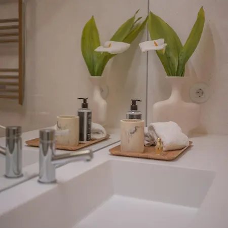 Appartement The Vermillion - Private Garden With Pool Access Porto